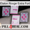 Étalon Rouge Extra Fort 33